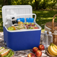 Portable Insulated Cooler Box for Camping, Picnics, and Outdoor Use