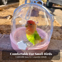 Portable Design Handheld Parakeet Transporter Breathable Ventilation avian transporter Transparent front-facing view Journey enclosure With Standing roost for Small pet Owners, Adults, Kids, veterinary Visits, Outdoor journeys, Outdoors, Hiking