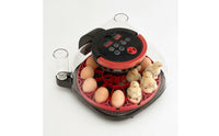 Digital Egg Hatcher Transparent Tabletop Hatcher with Water Cup Compact for Hobbyists, Educators, Home Hatching, Classroom