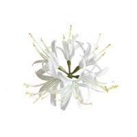 Chinese Design Arachnid Lily Hairpiece Elegant Design Hairpin Asian Inspired Hair Accessory Lightweight for Fashion Enthusiasts, Young Adults, New Year Celebrations, Cultural Events, Festivals, Themed Photoshoots
