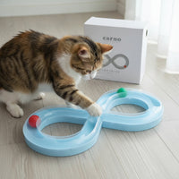 Cat Track Toy Interactive Endless-Loop Track Toy Translucent Slim for Active Cats, Home