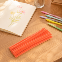 DIY chenille stem craft kit