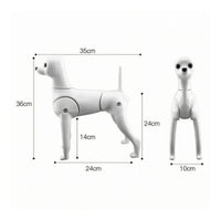 Poseable Pet Grooming Practice Mannequin Plastic Dog Grooming Mannequin Sturdy Tough