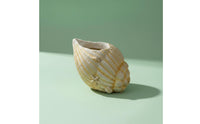 Resin Shell Flower Pot Minimalist Coastal Shell Planter Decorative