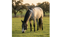 Breathable Horse Face Mask with Fringe Lightweight Horse Fly Mask with Ears Cool Tack Protection for Turnout