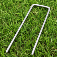 ground stake