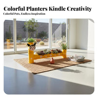 Easy to Assemble Balcony Vegetable Planter Decorative Succulent Plant Pipe Rack Multi-Functional Creative Water Pipe Assembly Soil-without Cultivation for Gardeners, Kids, Teachers, Garden, Classroom, Home