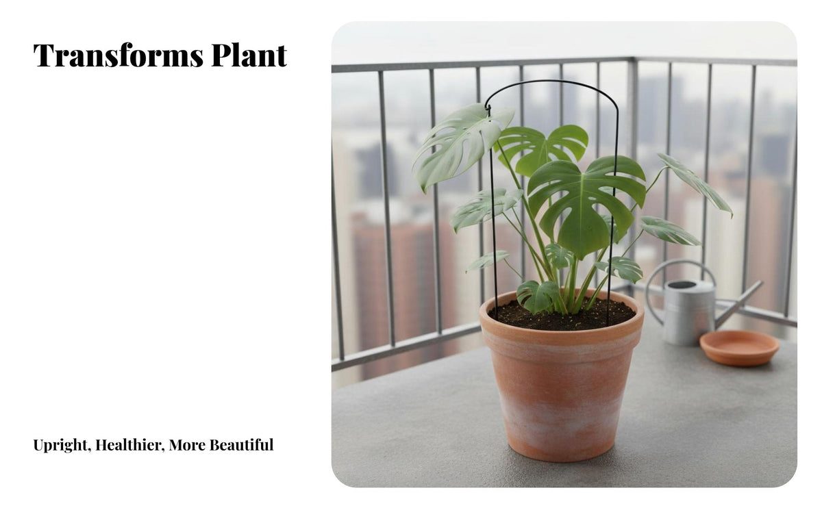 Curved Plant Support Frame Wrought Iron Flower Support Frame Anti-Tipping Half Round Plant Stake for Potted Plants, Outdoor, Balcony