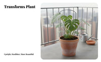 Curved Plant Support Frame Wrought Iron Flower Support Frame Anti-Tipping Half Round Plant Stake for Potted Plants, Outdoor, Balcony