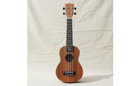 21 Inch Ukulele Music Education Beginner Ukulele Portable Small Guitar for Home Practice