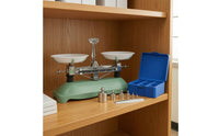Tray Balance Storage Box Classroom Balance Scale Accurate Measurements School Lab Apparatus for Students