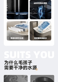猫咪饮水机净污分离恒温加热无线智能自动倾倒狗狗喂水器宠物用品
