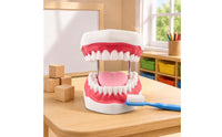 Visible Mouth Interior Brushing Practice Model Coil Hinges Tooth Brushing Model Pink Gums Teaching Aid