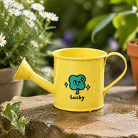 Traditional Indoor Watering Can, Small Iron Watering Can for Houseplants, Painted Metal with Showerhead Rose