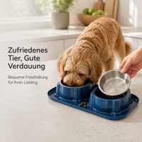Double Cat Bowl Set with Stainless Steel Food and Water Bowls, Spill-Proof, Tilted Design for Pets