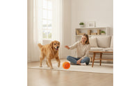 Interactive Dog Ball Colorful Dog Ball Textured for Bored Dogs, Indoor Enrichment