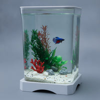 fishing Aquarium Transparent Desktop Aquatic Habitat Easy to Maintain Aquarium with Lid for Beginners, Office Workers