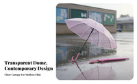 Transparent Umbrella Automatic Open Long Handle Umbrella Water for Children, Women, Photoshoot, Wedding