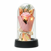 Treated Floral Dome Romantic Gift Timeless Bloom Acrylic Dome Long Perennial Blossom Light for Girlfriend, Mom