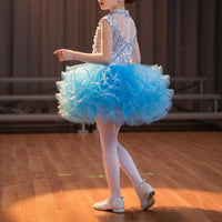School Choir Uniform Soft Tulle Skirt Girls' Glitter Ballet Skirt Dress Boys' Glitter Performance Outfit Bright Hues