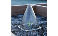 Thickened Seedling Cloche Proof Mini Greenhouse Dome Reusable Frost Protection Dome Anti Deform for Vegetable Plot, Garden, Nursery