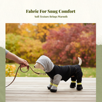 Thick pet suit for cold weather