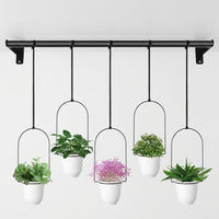 Plant Pots and Hanging Basket for Outdoor Plants, Round Wire Integrated Hanging Plant and Wall Planter, Fence Planters for Balcony, 10cm Base