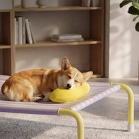 Elevated Dog Bed Easy to Clean Portable Pet Cot Bed Cooling Ventilation Moisture Proof for Indoor