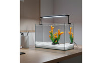 Resin Coral Decoration Fish Resin Coral Marine Decor Bright Color Marine Tank Ornament for Aquarium