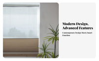 Day and Night Honeycomb Shade Drill Installation Electric Insulated Window Covering Privacy Protection Blackout Cellular Shade for Bedroom, Office