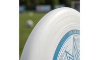 Molded Plastic 175 Gram Flying Disc Ridged Rim Ultimate Disc Printed Graphic Outdoor Toy Long-Lasting