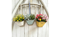 Attached Hook Wall Mounted Flower Pot Rustic Vintage Wall Hanging Planter Embossed Markings Iron Flower Pot Flared Top