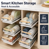Space-Saving Dish Drainer Rack, Carbon Steel Pull-Out Dish Rack for Limited Counter Space, Anti-Slip Cabinet Dish Drainer