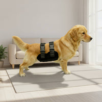 Supportive Dog Diaper with Adjustable Straps Safeguarding Pet Clothing Elasticated Apparel Comfortable for Walks