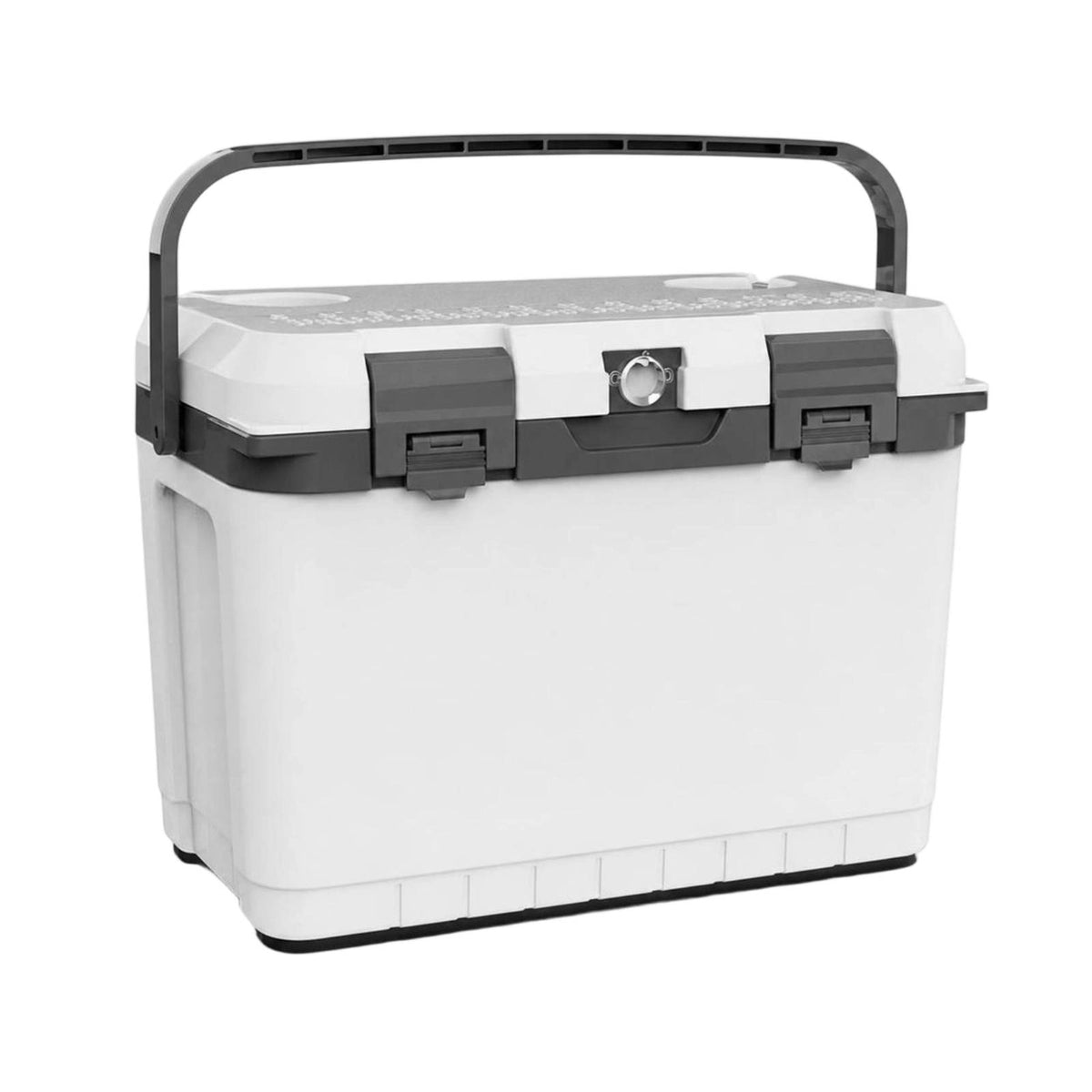Insulated Ice Chest with Ice Packs Lightweight Hard-Sided Chiller with Handle Versatile Insulated Cooler for Camping, Barbecue