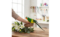 Vibrant Colors Feathered Parrot Model Easy to Install Artificial Parrot Ornament Handmade Lifelike Bird Statue for Garden