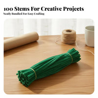 100 Pieces DIY Flower Making Material Multi-Color Pipe Cleaner Brilliant Colors Pipe Cleaners for DIY Enthusiast S, Parents, Holiday Crafting