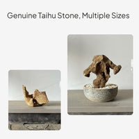 Taihu Stone Ornament for Aquarium and Bonsai Decor