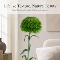 Artificial Dianthus Green Plant Ball for Photography Props and Decoration