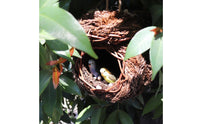 Handmade Artificial Bird Nest Rustic Design Fake Bird Nest Realistic Look for Patio