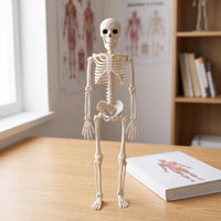 Spooky Plastic Skeleton Decorative Skeleton Prop Scary Decorations Realistic for Halloween, Haunted House, Party