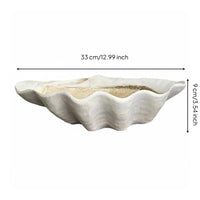 Shell Tray Shallow Home Decor Decorative