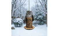 Hanging Bird Feeder Decorative Bird Feeder with Tray Weather Resistant for Patio
