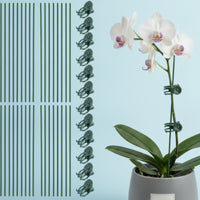 20 Pieces Plant Fixing Clip with Support Rod Long-Lasting Flowering Plant
