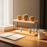 Wooden Succulent Plant Stand with Full Spectrum Grow Light for Indoor Desktop Display