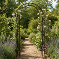 European Vintage Wrought Iron Garden Arch for Climbing Plants