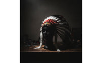 Native-Inspired Costume Headdress with Feathers Colorful Feather Headpiece with Headband Multicolor Feather Headpiece Woven for Cosplayers, Performers, Photo Shoots, Stage Performances
