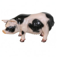 Realistic Resin Pig Statue Three-Dimensional Pig Statue Solid Animal Figurine Molded Details for Yard, Park, Window Display