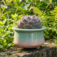 Plant Pots for Indoor Plants and Flower Pots, Glossy Ceramic Pots for Home Office Decor, Round Bonsai Pot or Outdoor Plant Pot