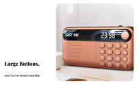 Audio Player Audio Device with Speaker Flash Card and Universal Serial Bus Compatible with Multi-Function Navytooth Radio Small Design Portable